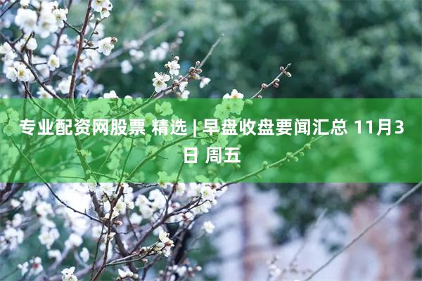 专业配资网股票 精选 | 早盘收盘要闻汇总 11月3日 周五