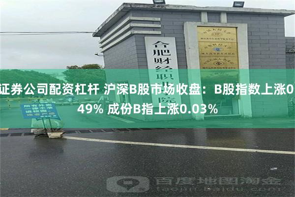 证券公司配资杠杆 沪深B股市场收盘：B股指数上涨0.49% 成份B指上涨0.03%