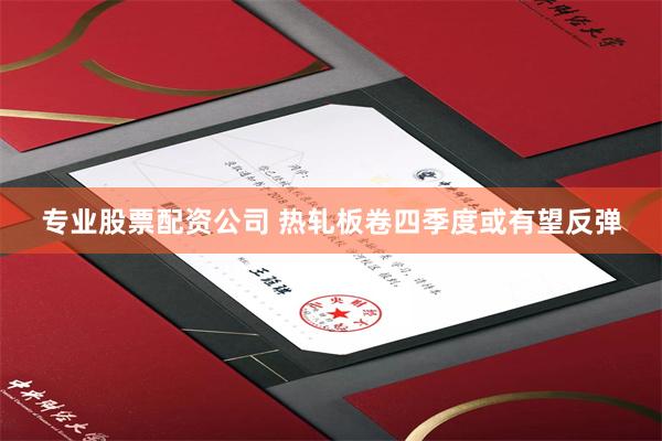 专业股票配资公司 热轧板卷四季度或有望反弹