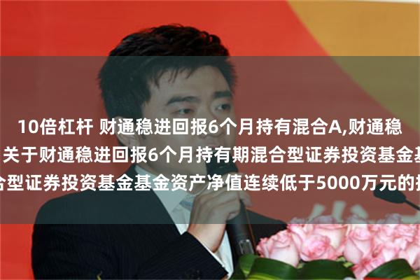 10倍杠杆 财通稳进回报6个月持有混合A,财通稳进回报6个月持有混合C: 关于财通稳进回报6个月持有期混合型证券投资基金基金资产净值连续低于5000万元的提示性公告