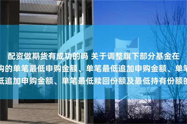 配资做期货有成功的吗 关于调整旗下部分基金在基金销售机构及直销机构的单笔最低申购金额、单笔最低追加申购金额、单笔最低赎回份额及最低持有份额的公告