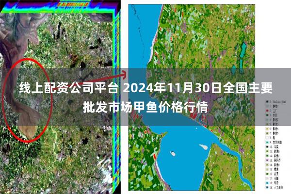 线上配资公司平台 2024年11月30日全国主要批发市场甲鱼价格行情