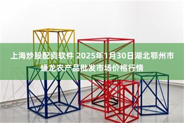 上海炒股配资软件 2025年1月30日湖北鄂州市蟠龙农产品批发市场价格行情