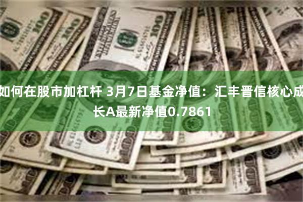 如何在股市加杠杆 3月7日基金净值：汇丰晋信核心成长A最新净值0.7861